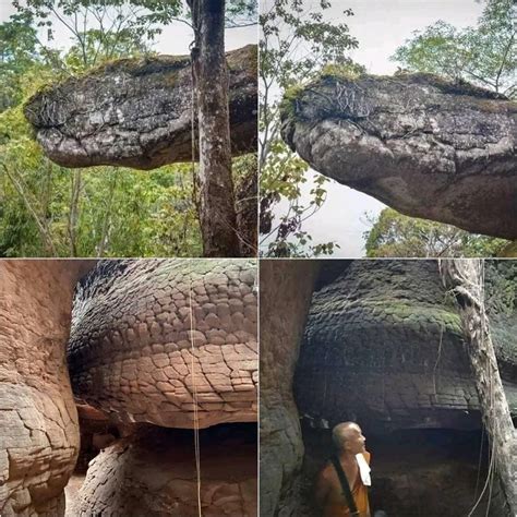 cave in thailand that looks like a snake|Exploring Naka Cave: An Adventure in Thailand